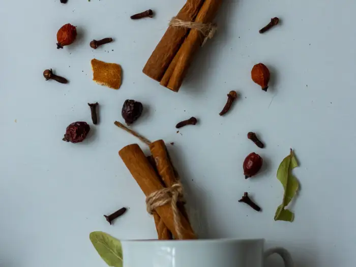 Dried botanical materials arranged on a pale surface