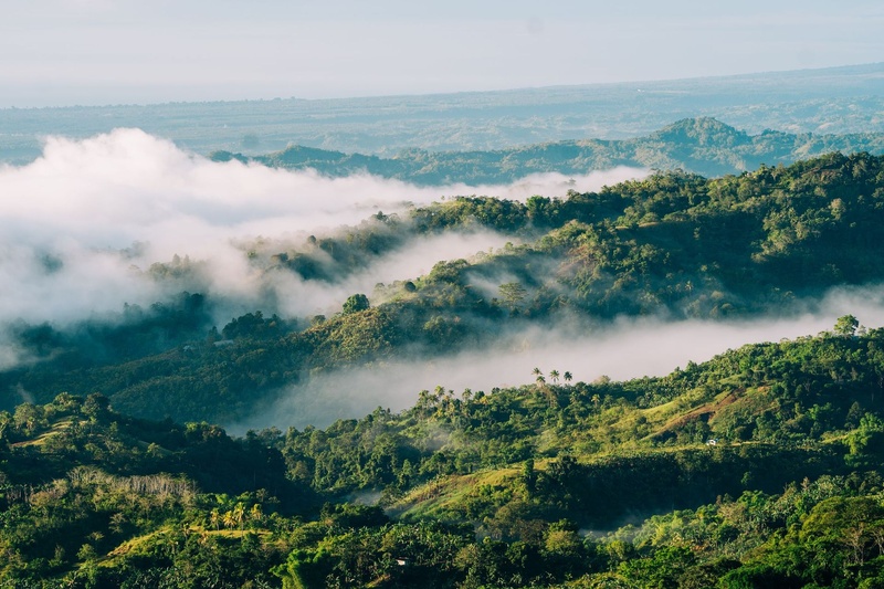 Misty green hills at dawn